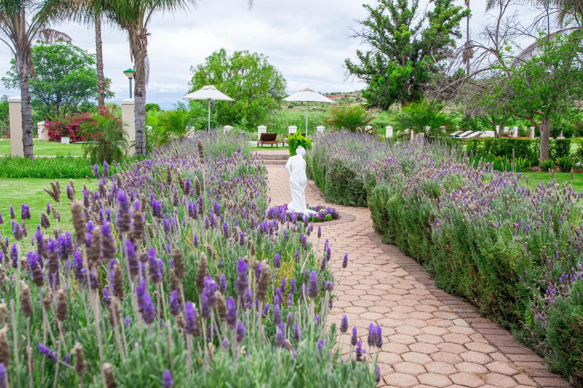 Bakenskraal Ostrich Palace Oudtshoorn Extérieur photo